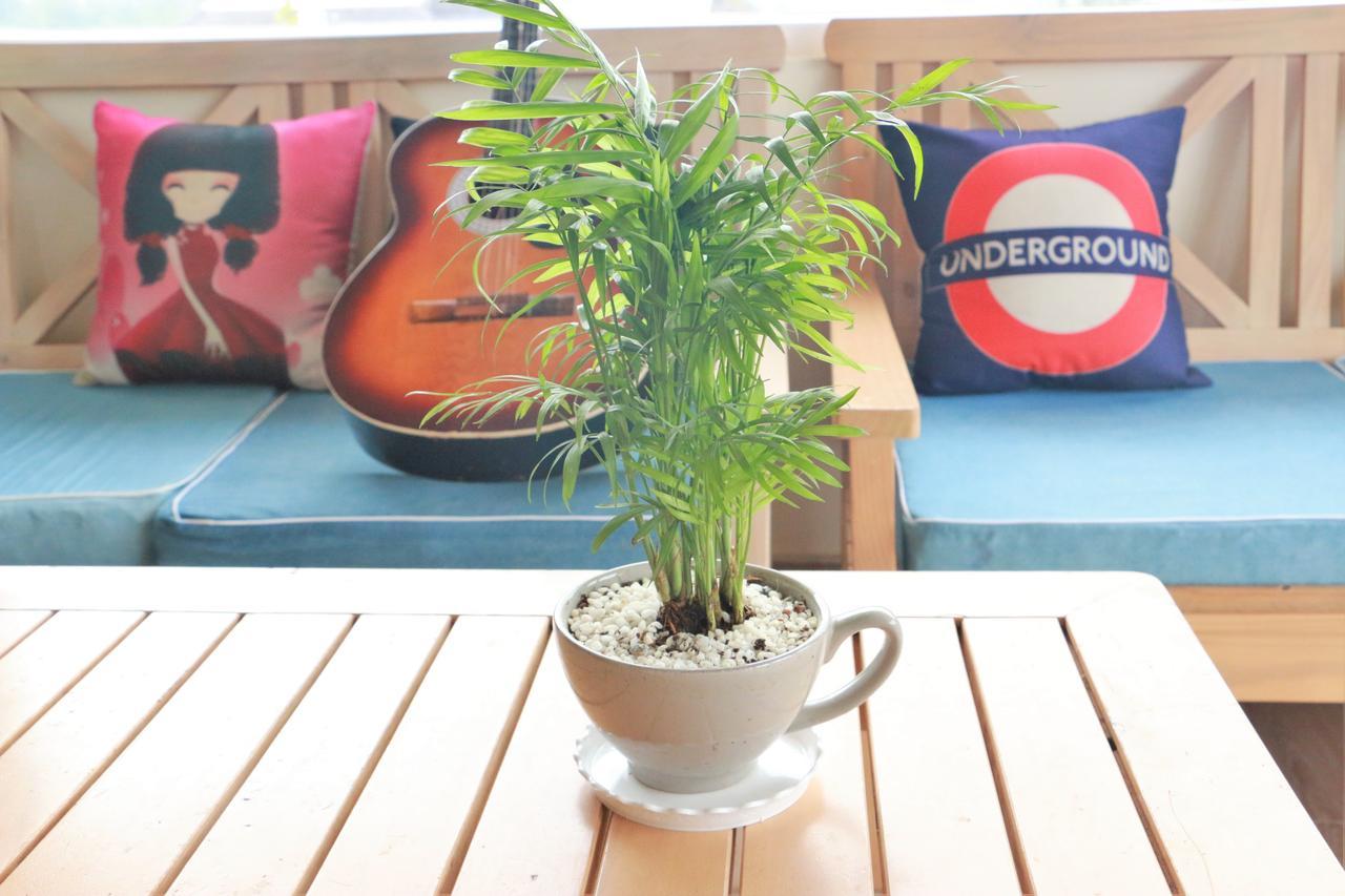 Dalat Eco Home Екстер'єр фото